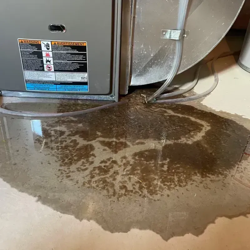 Appliance Leak Cleanup in Marion County, OH